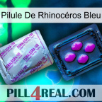 Pilule De Rhinocéros Bleu 37